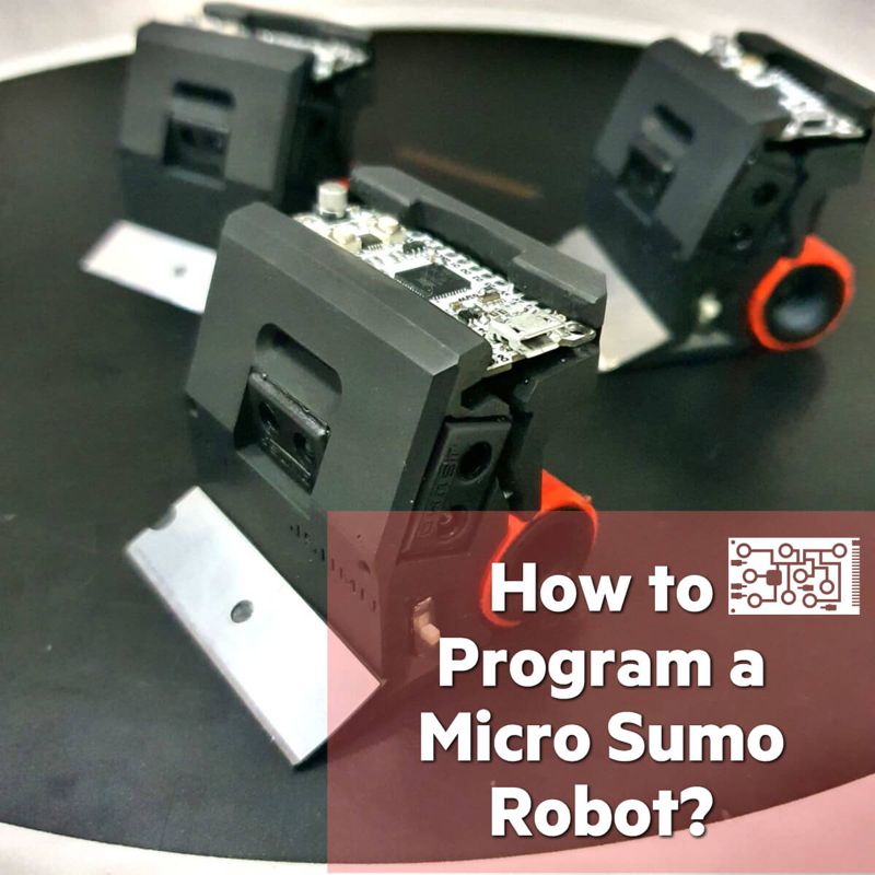 how-to-program-a-micro-sumo-robot-blog-post.jpg (87 KB)